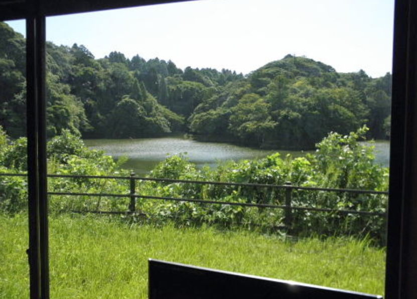 リビングの窓から広がる雨竜湖と緑豊かな森の眺望