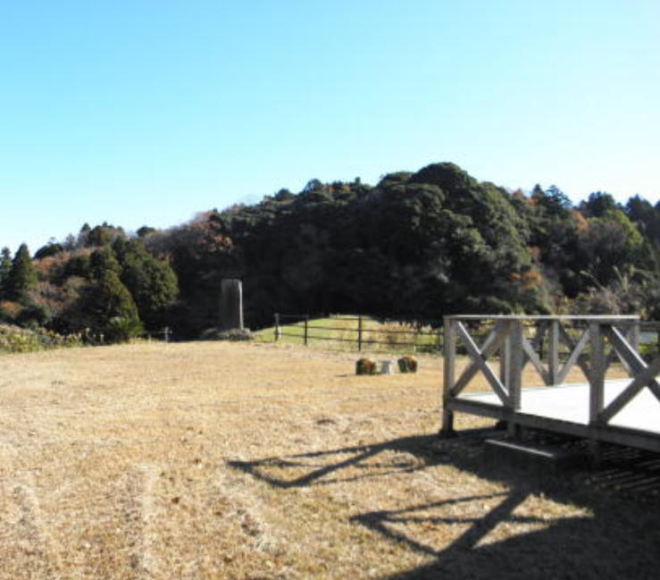 広い芝生の庭と住宅に面したウッドデッキ
