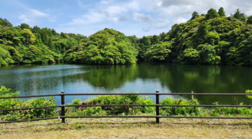 周囲の森が湖面に映り込む、緑豊かな雨竜湖の風景